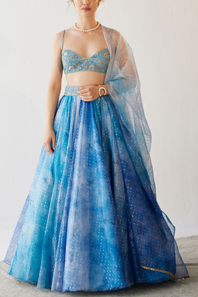Cedar & Pine Blue-printed organza lehenga set CNPJAN2312