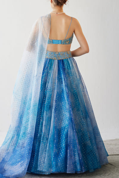 Cedar & Pine Blue-printed organza lehenga set CNPJAN2312