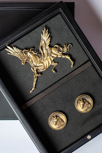 Pegasus horse brooch gift set