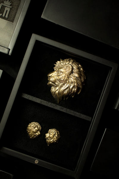 Lion of Judah brooch gift set