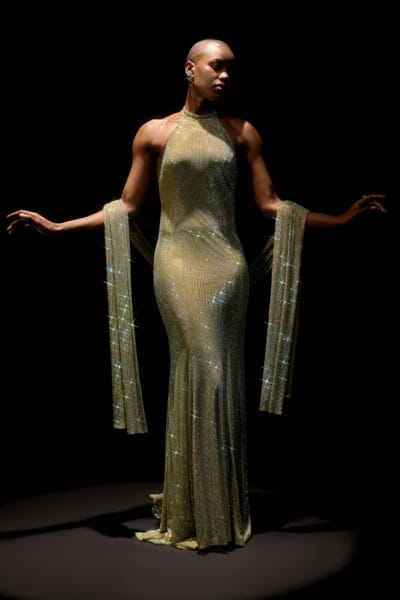 Mint green crystal embellished gown set