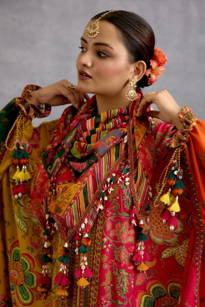 Multicolour striped floral georgette scarf