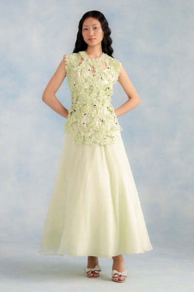 Richa Khemka Pista green floral organza gown RICHJUL26D149123