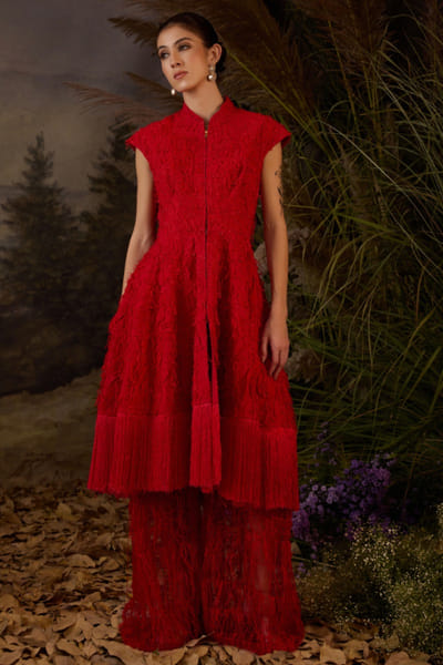 Red textured embroidered short dress