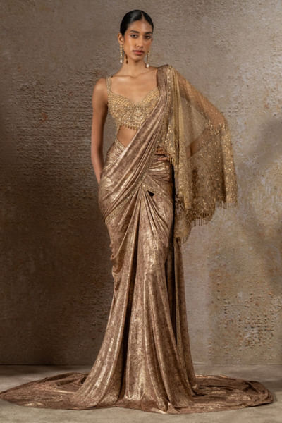 Gold embroidered concept sari