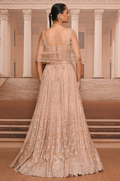 Tarun Tahiliani Blush thread-crystal embroidered lehenga set TARUMAY26D145260