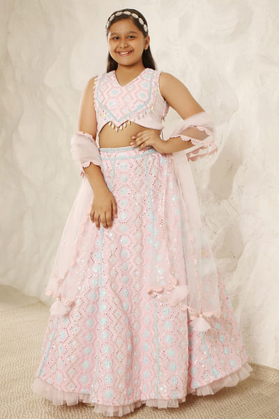 Baby pink embroidered lehenga set