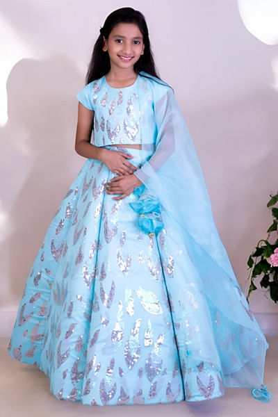 Blue sequin embroidered lehenga Set