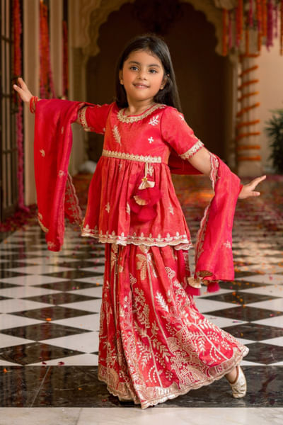 Pink embroidered lehenga set