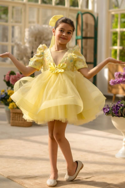 Butterfly 3D floral embellished dress