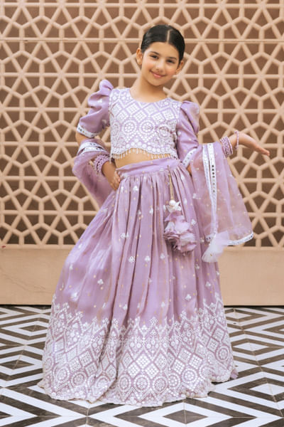 Lilac embroidered lehenga set