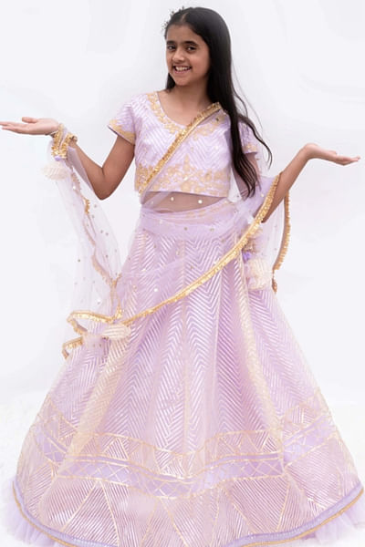 Lilac gota embroidered lehenga set