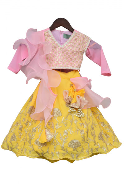 Baby pink embroidered lehenga choli