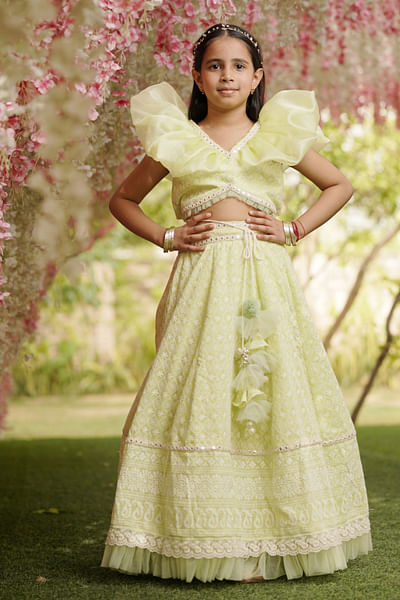 Pastel Green embroidered lehenga set