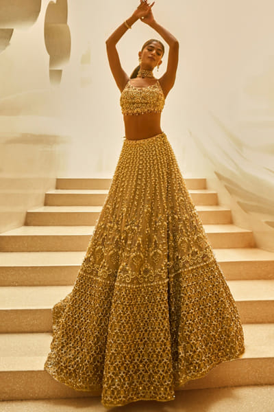 Biscuit zari embroidered lehenga set