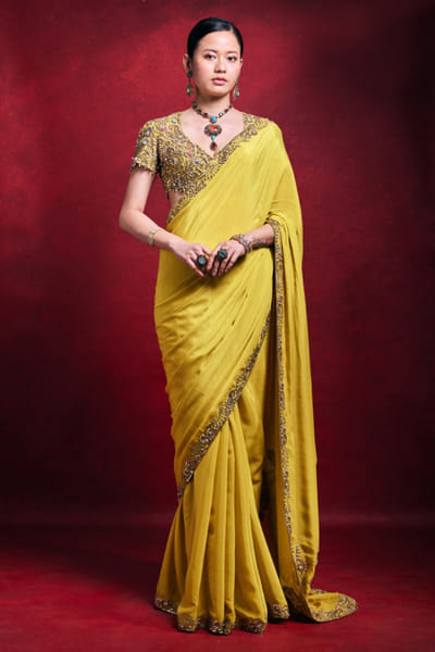 Yellow zari embroidered sari set