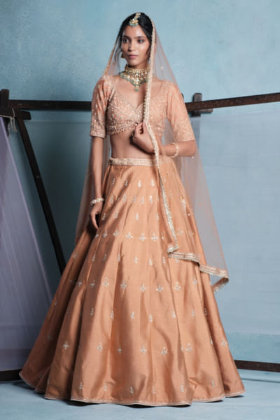 Blush nude embroidered lehenga set