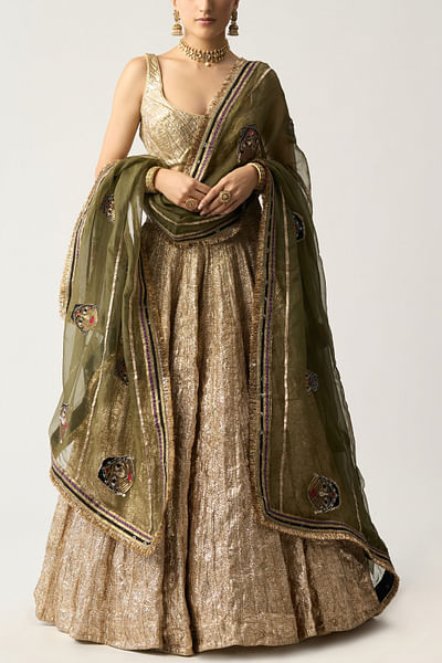 Silver embroidered lehenga set