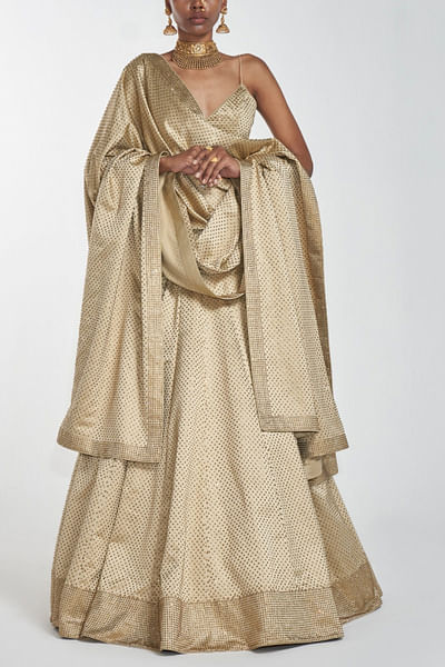 Gold embellished lehenga set