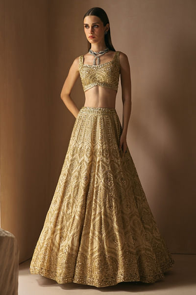 Champagne gold embroidered organza lehenga set