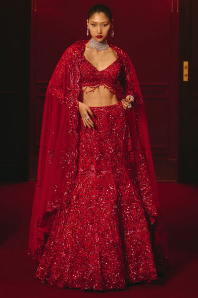 Red dense embroidered lehenga set