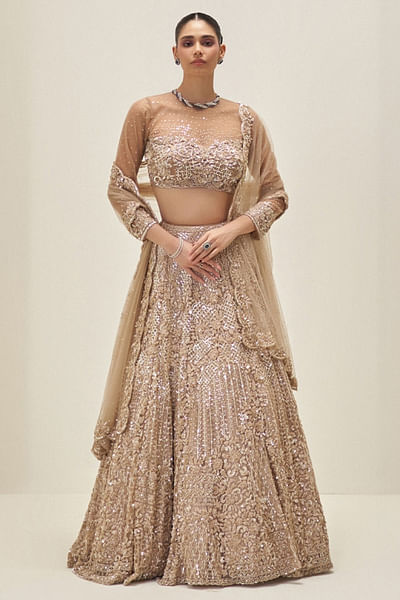Gold crystal embroidered net lehenga set