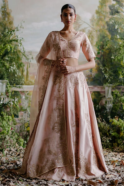 Blush pink aari embroidered lehenga set