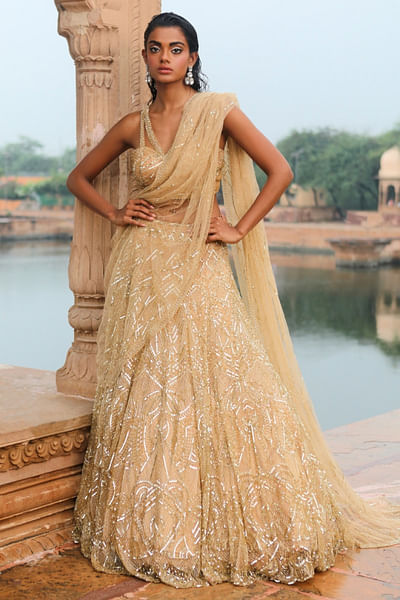 Gold embroidered lehenga sari set