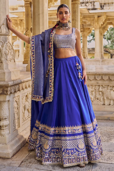 Blue zari embroidered lehenga set