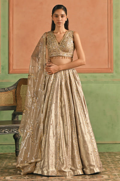 Gold zari embroidered foil lehenga set