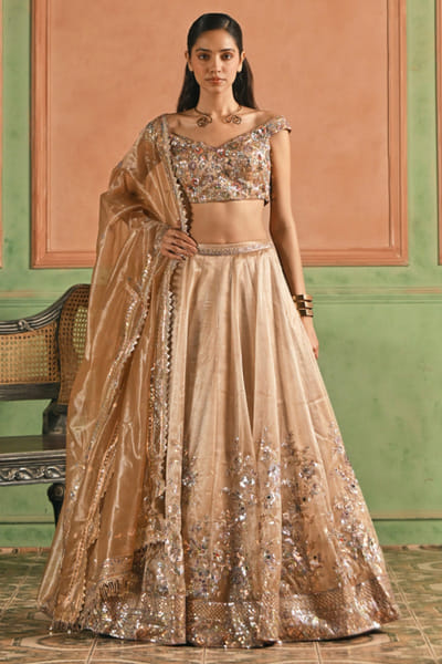 Golden beige zari embroidered lehenga set