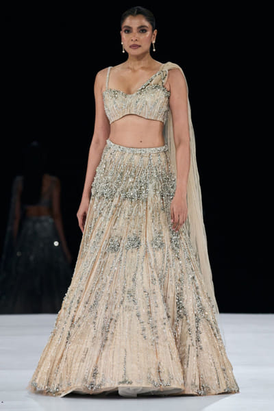 Nude crystal embroidered lehenga set