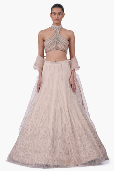 Haze champagne embellished lehenga set