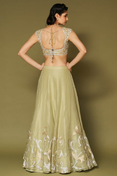 Devnaagri Pistachio zari embroidered lehenga set DEVNAPR26D143046