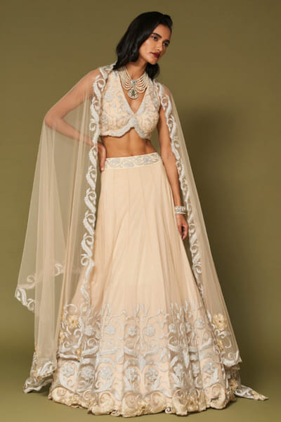 Devnaagri Almond zari embroidered lehenga set DEVNAPR26D143048
