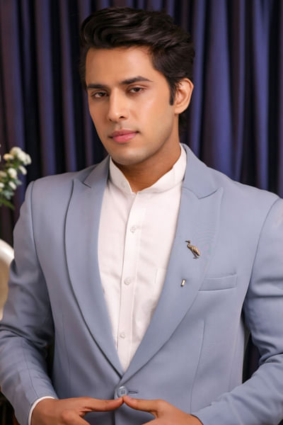 Antique gold crane lapel pin