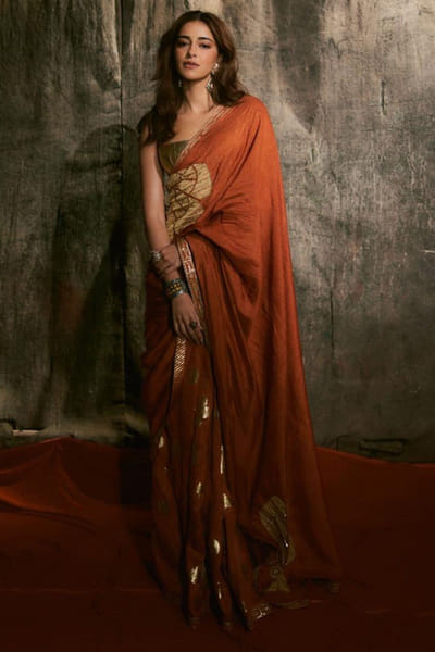 Rust foil printed sari set