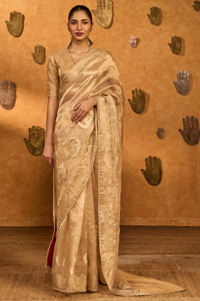 Light gold embroidered tissue sari set