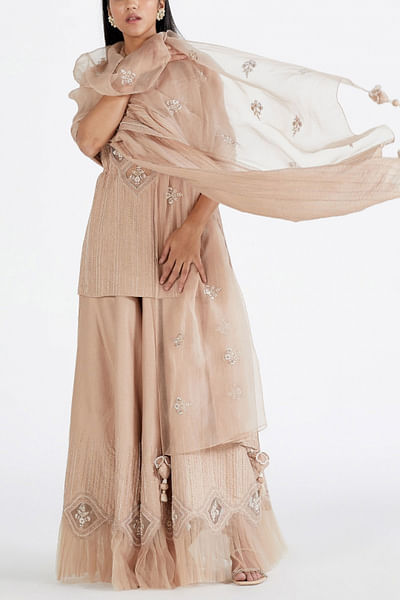 Nude pink embroidered sharara set