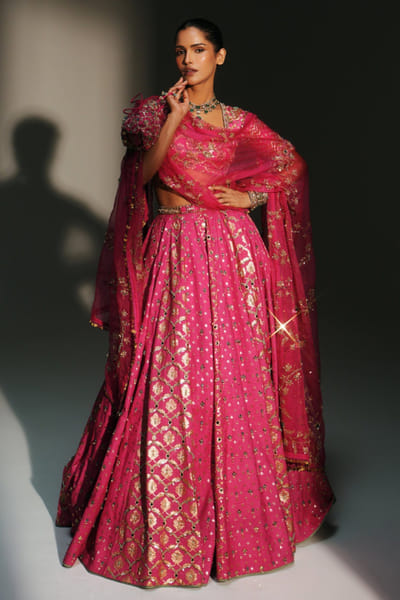 Rani pink hand embroidered lehenga set