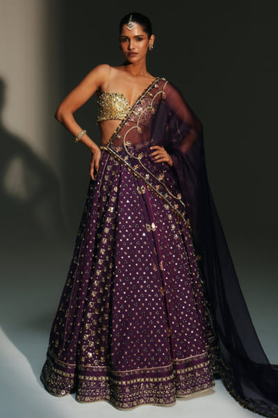 Grapevine embroidery banarasi silk lehenga set