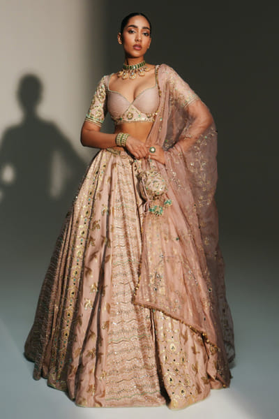 Blush pink hand embroidery lehenga set