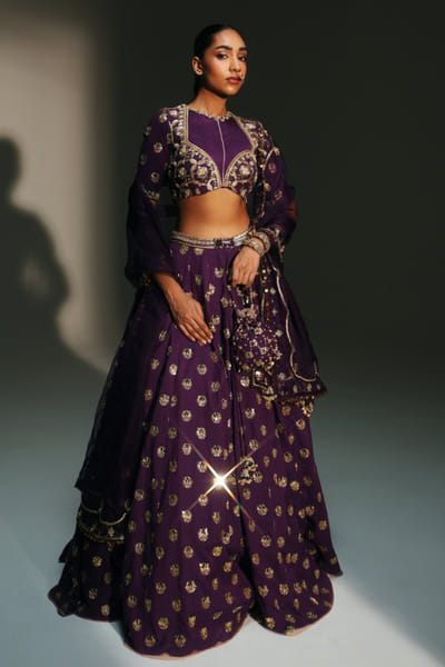 Grapevine hand-embroidered lehenga set