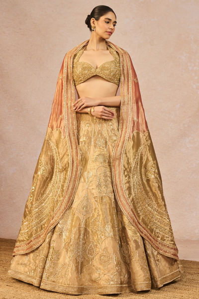 Gold cutdana embroidered lehenga set
