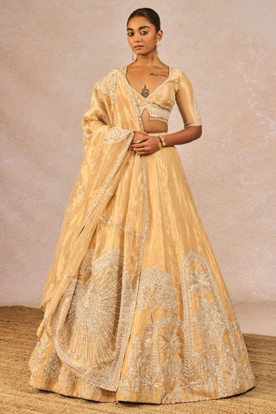 Gold motif embroidered lehenga set