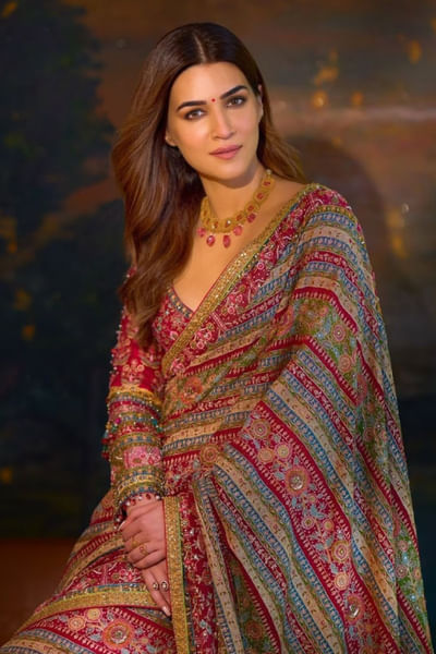 Multicolour kashida embellished sari set