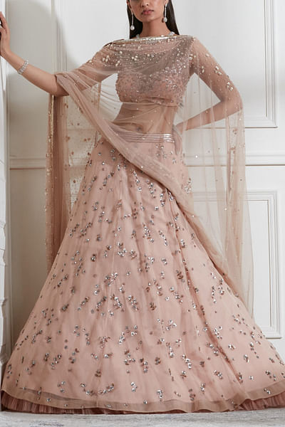 Blush embellished lehenga set