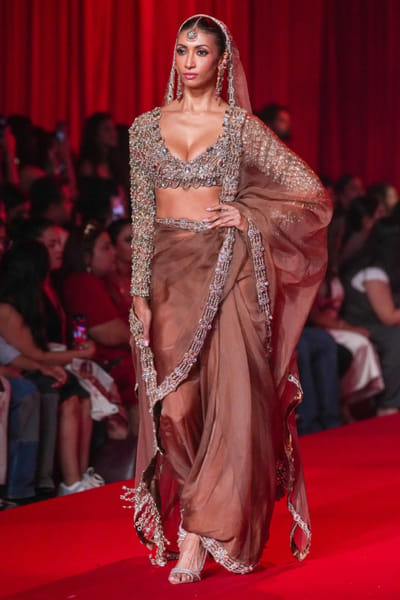 Brown jadau embroidered sari set