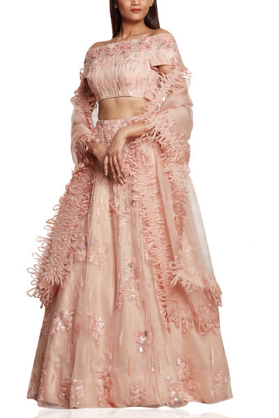 Lily embroidered lehenga set