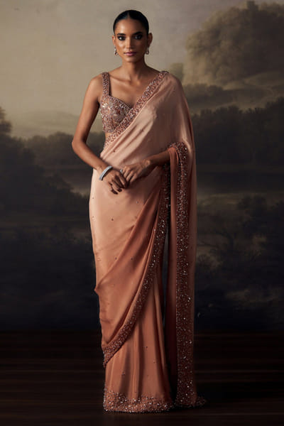Bronze and blush nude embroidered sari set